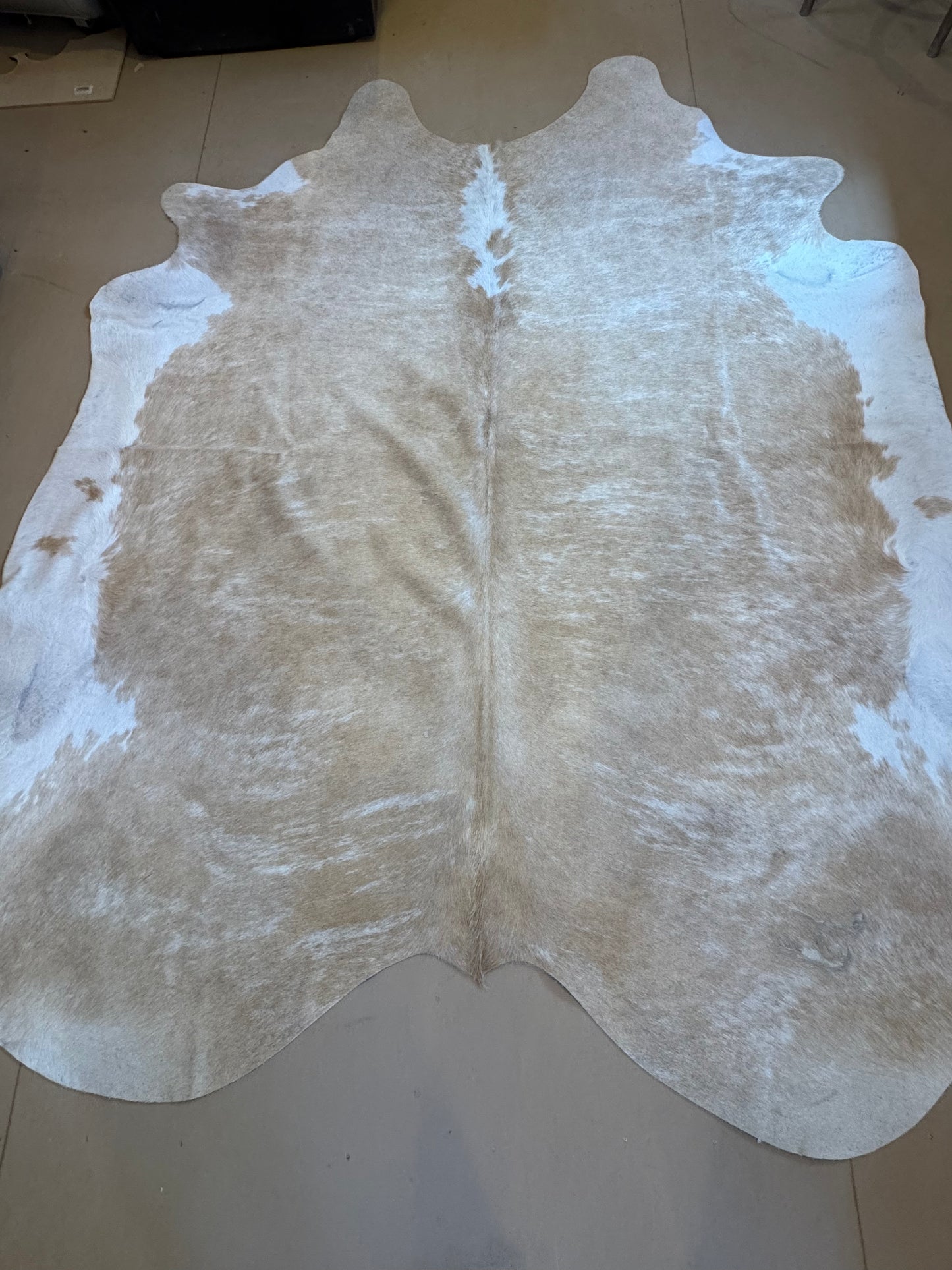 Medium Cow Hides